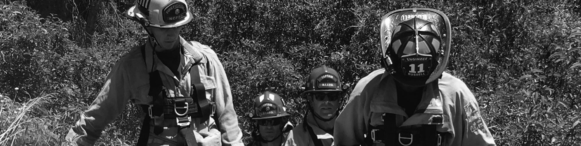 Photo of four fire fighters in bushes with helmets